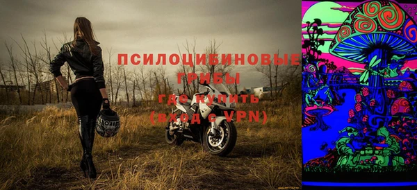 бошки Володарск