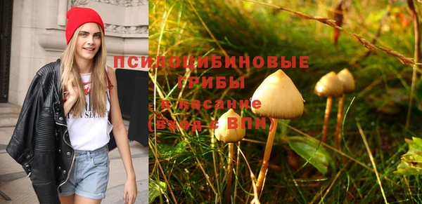 бошки Володарск