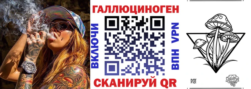 Купить где Болхов Галлюциногенные грибы Psilocybine cubensis